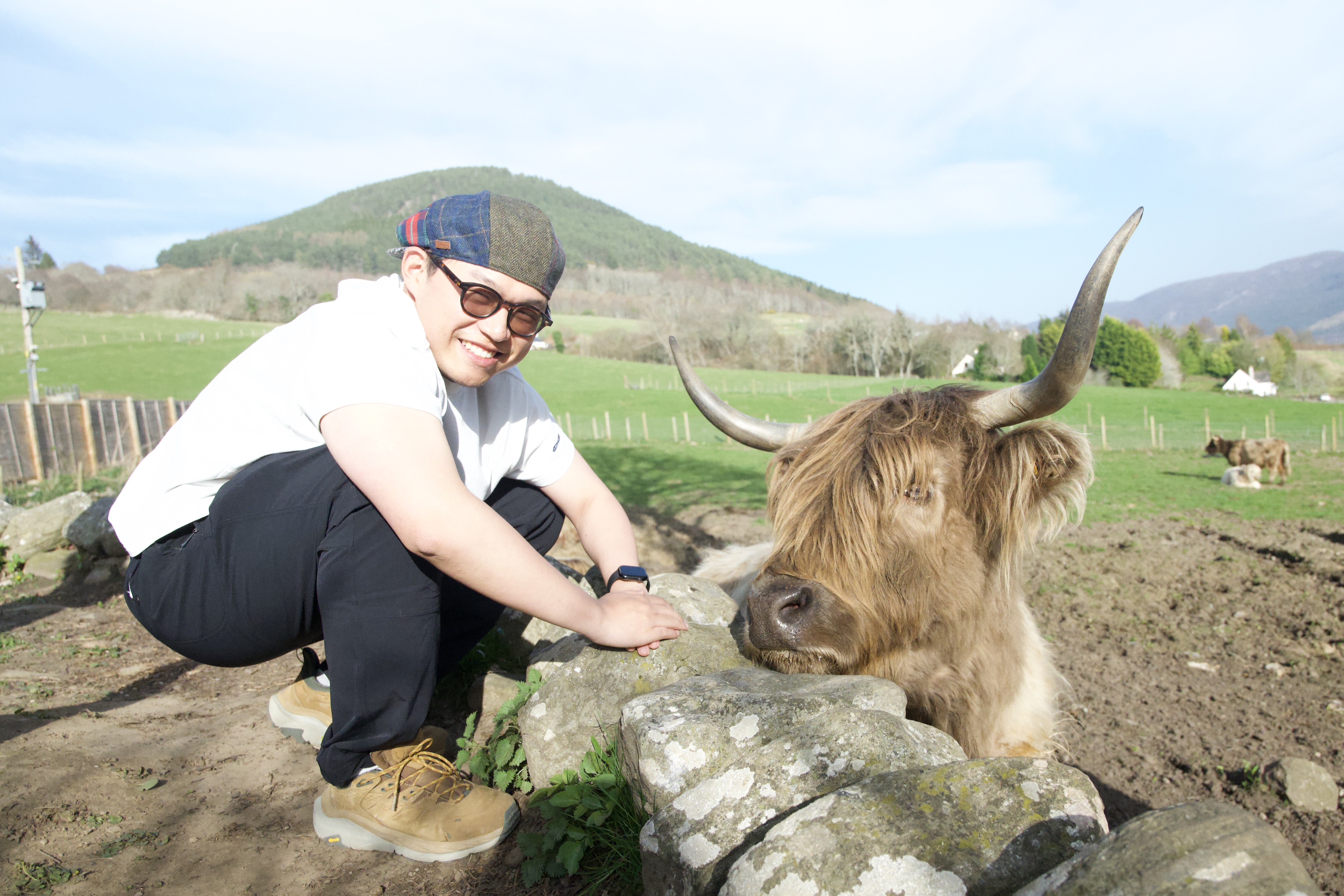 Qingfeng Tong's Profile Photo